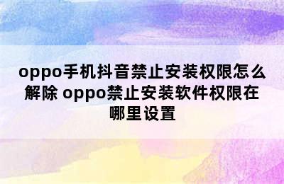 oppo手机抖音禁止安装权限怎么解除 oppo禁止安装软件权限在哪里设置